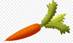 Carrot Vegetable Clip art - carrot png download - 830*521 - Free ...