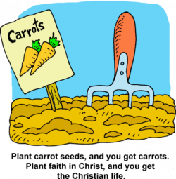 Image download: Carrot Garden | Christart.com