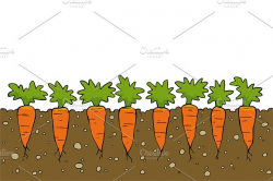 28+ Collection of Carrot Garden Clipart | High quality, free ...