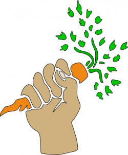 Hand Holding Carrot clip art Free vector in Open office drawing svg ...
