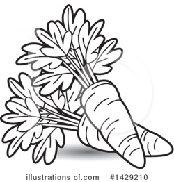 Carrot Clipart #1429210 - Illustration by Lal Perera