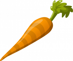 Fresh,orange carrot clipart free image