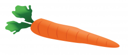 Orange carrot cliparts jpg - Clipartix