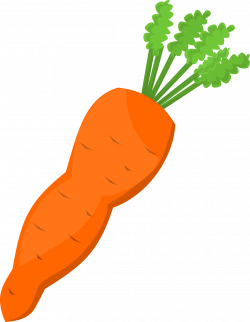 Clipart carrot - Clip Art Library