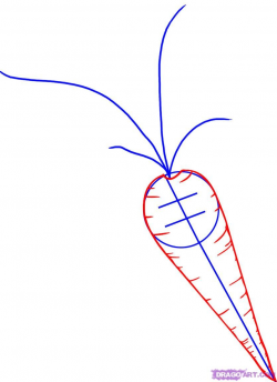 How to Draw a Carrot | paper & pen | Pinterest | Carrots, Draw and ...