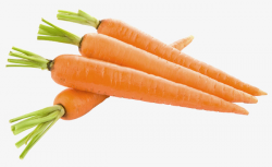 Vegetable Rabbit Red Carrot, Vegetables, Rabbit, Gules PNG Image and ...