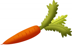 Carrot with Green Leaves Clipart | Isolated Stock Photo by noBACKS.com