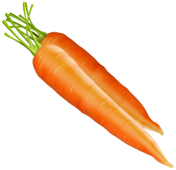 Carrots PNG Clipart - Best WEB Clipart