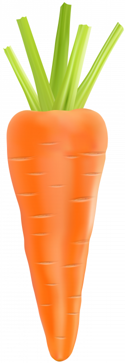 Carrot Transparent PNG Clip Art Image | Gallery Yopriceville - High ...