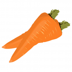 Two Carrots Free Stock Photo - Public Domain Pictures
