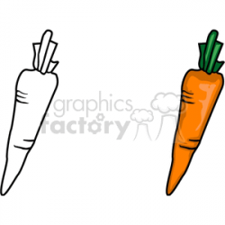two carrots clipart. Royalty-free clipart # 142233