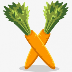 Two Carrots, Carrot, Cartoon, Vegetables PNG Image and Clipart for ...