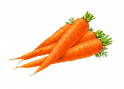 Cartoon Carrot Clipart | Food Clipart | Carrots, Vegetables ...