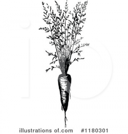 Carrot Clipart #1180301 - Illustration by Prawny Vintage