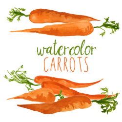 Watercolor Carrots Clip Art Set Veggies watercolor Vegetable