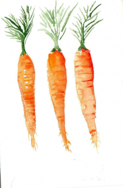 4 x 6 Original Carrots Painting watercolor | Carrots, Watercolor and ...