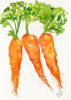 Original Carrots Watercolor Painting 5 X 7 Small Vegetable Painting ...