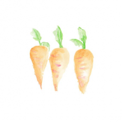 Watercolour Carrot Clipart Instant Download - One Item | Wood ...