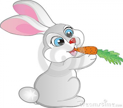 Rabbit clipart carrot drawing - Pencil and in color rabbit clipart ...