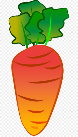 Carrot Cartoon Vegetable Clip art - Carrots png download - 700*1566 ...