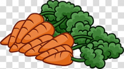 Vegetarian cuisine Organic food Carrot graphics, carrot ...