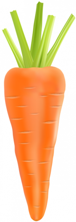 Carrot Transparent PNG Clip Art Image | darzeni | Pinterest | Art ...