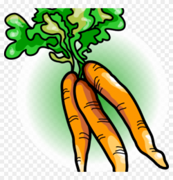 Carrot Clipart Free Carrot Clipart Image Carrots Food ...