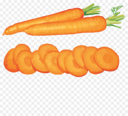Carrot Vegetable Fruit Clip art - carrots clipart png download ...