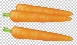 Carrot Vegetable PNG, Clipart, Baby Carrot, Bockwurst ...