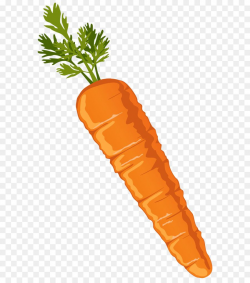 Pin by Meronikaaaa on RABBIT BABY in 2019 | Carrot vegetable ...