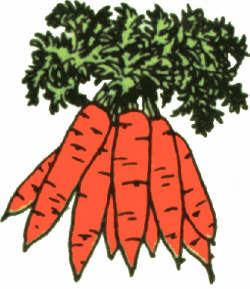 carrots.gif | Clipart Panda - Free Clipart Images