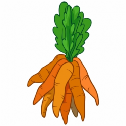 Carrots Png Purple - Black Carrot Png - carrot png, Free PNG ...