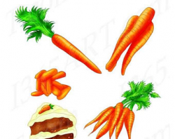 Carrot clip art | Etsy