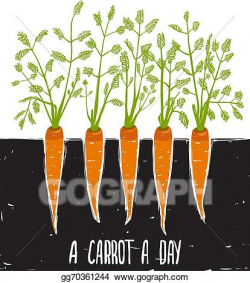EPS Vector - Growing carrots scratchy drawing and lettering ...
