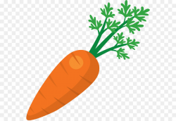 Juice Fruit salad Carrot Clip art - Carrots png download - 632*617 ...
