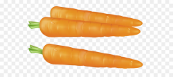 Carrot Vegetable Clip art - Carrots PNG Clipart png download - 1857 ...