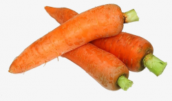Three Carrots, Carrot, Bunch Of Carrots, Radish PNG Image and ...