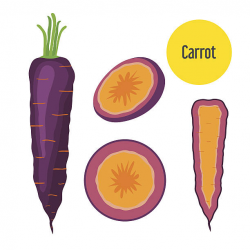 Carrot clipart nutrition - Pencil and in color carrot clipart nutrition