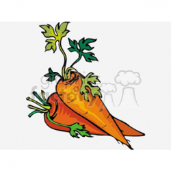carrots clipart. Royalty-free clipart # 151979