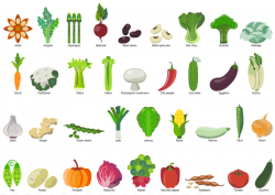 Easy Vegetables Drawing Fruit Clip art - Celery png download - 1254 ...