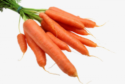 Bunch Of Carrots, Radish, Cheap Carrot, Carrot PNG Image and Clipart ...
