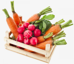 Wooden Carrots In Wooden Boxes, Carrot, Wooden Box, Fruit And ...