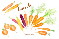 Watercolor Clipart Carrot illustration rainbow carrots