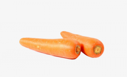 Two Carrots, Real, Carrot, Two PNG Image and Clipart for Free Download