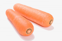 Two Fresh Carrots, Carrot, Fresh, Vegetables PNG Image and Clipart ...