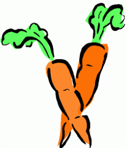 carrot clip art 11 245x287 | Cliparts | Pinterest | Clip art