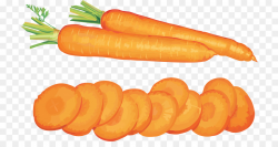 Carrot salad Desktop Wallpaper Clip art - carrot png download - 768 ...