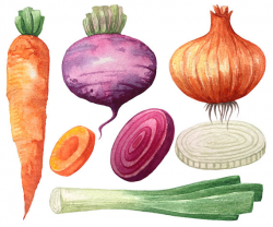 Vegetable Clipart Watercolor Carrot Lettuce Pepper