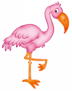 cartoon_ filii_ clipart | Flamingo, Clip art and Bird
