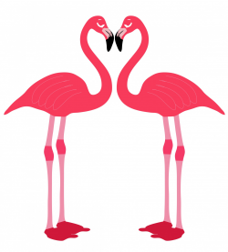 Flamingo Birds Love Heart Free Stock Photo - Public Domain Pictures